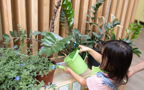 A little girl is watering a plant in a garden.